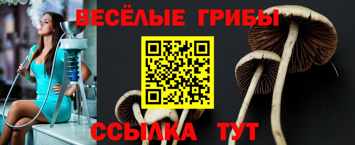 Богородицк  Псилоцибиновые грибы GOLDEN TEACHER  Вход с VPN 