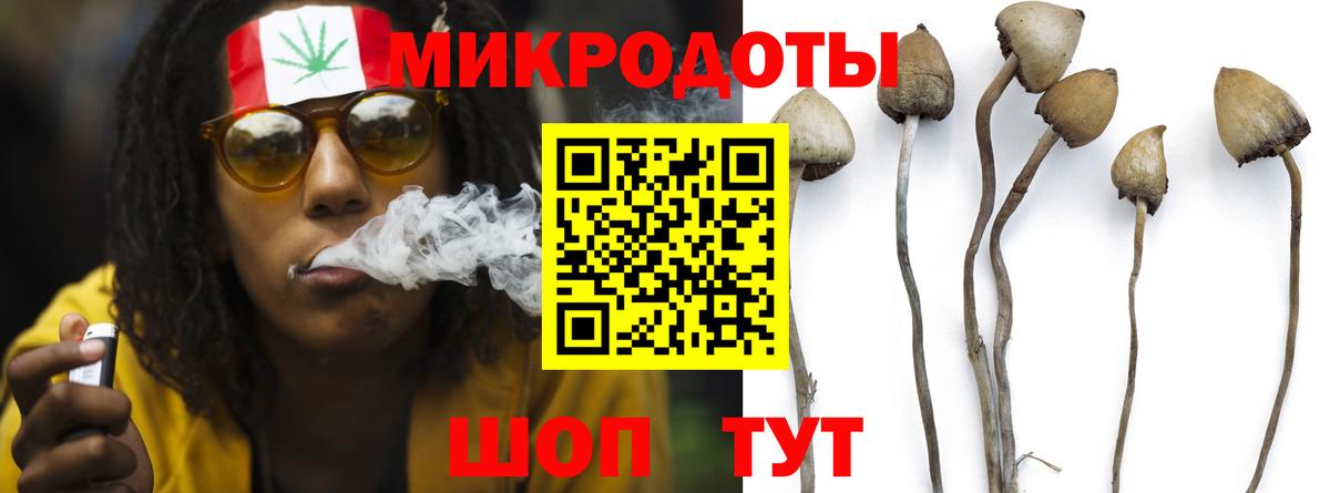 Псилоцибиновые грибы мухоморы Богородицк